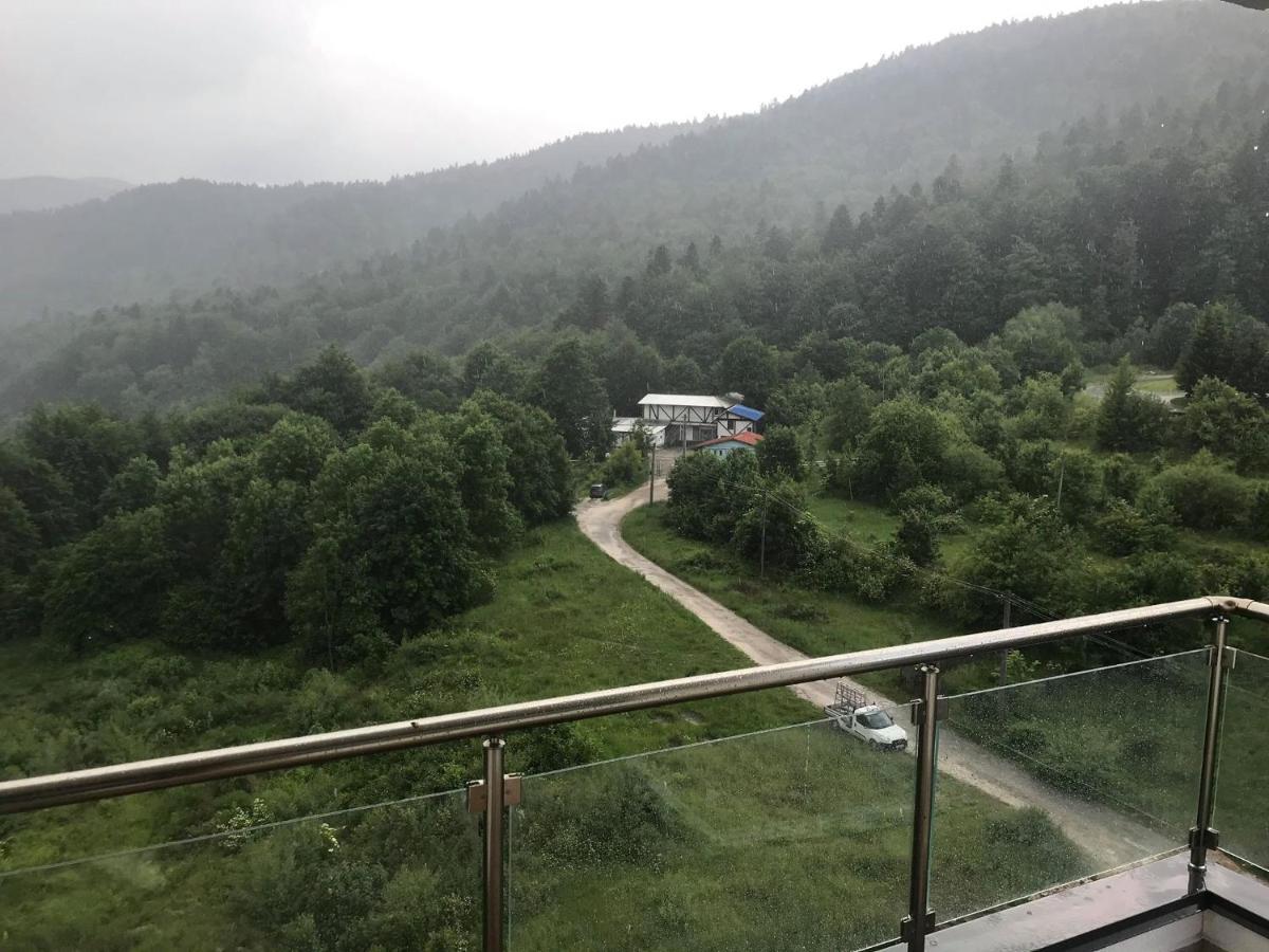 Mountain Residence Sinaia Luaran gambar
