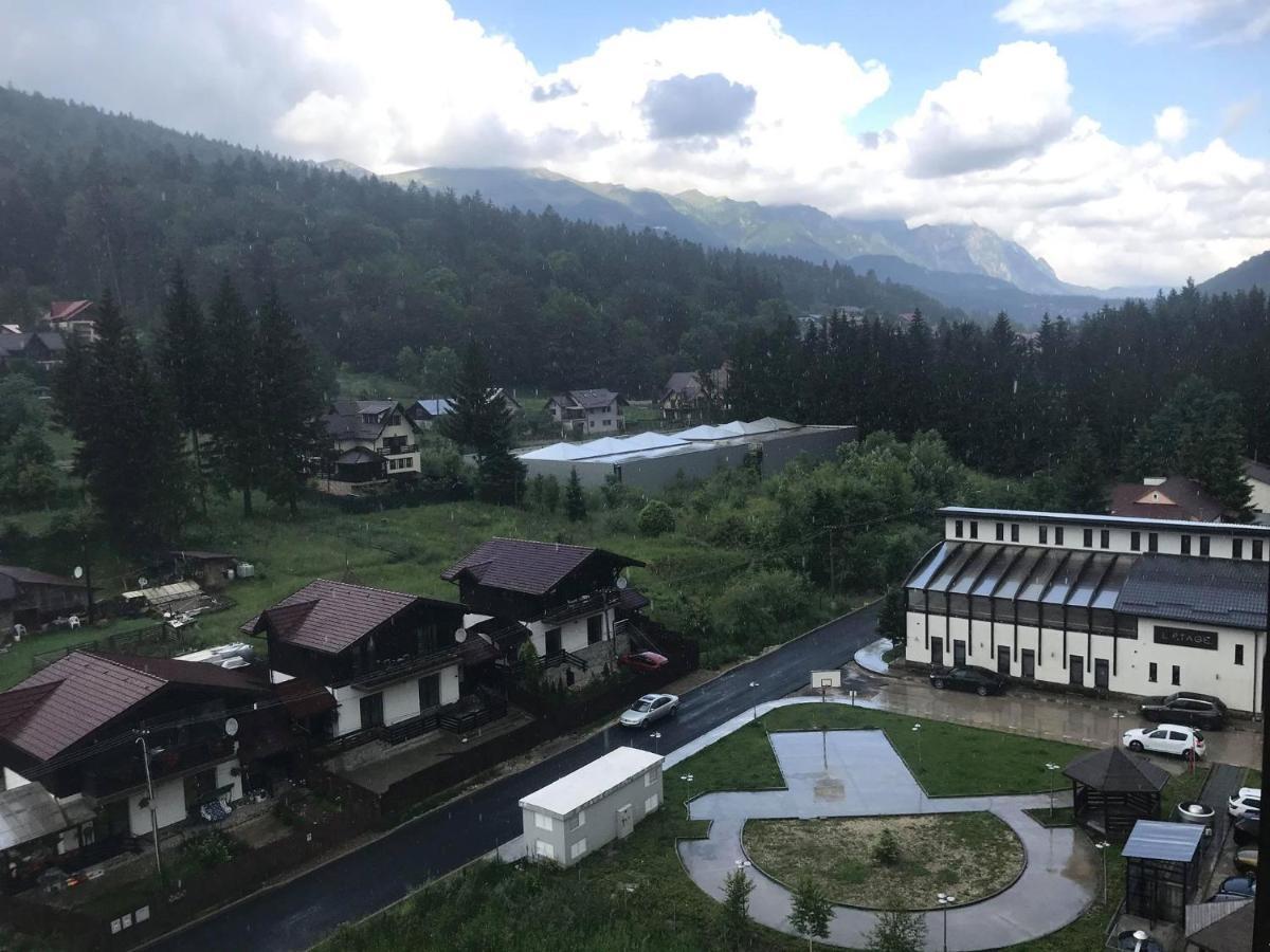 Mountain Residence Sinaia Luaran gambar