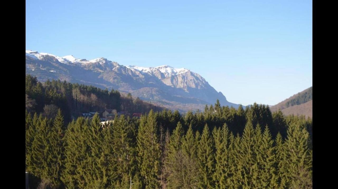 Mountain Residence Sinaia Luaran gambar
