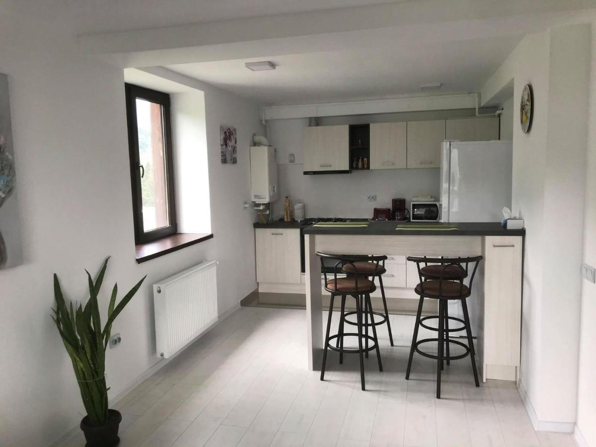 Mountain Residence Sinaia Luaran gambar